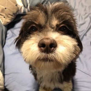 Meet your Posher, Gabby